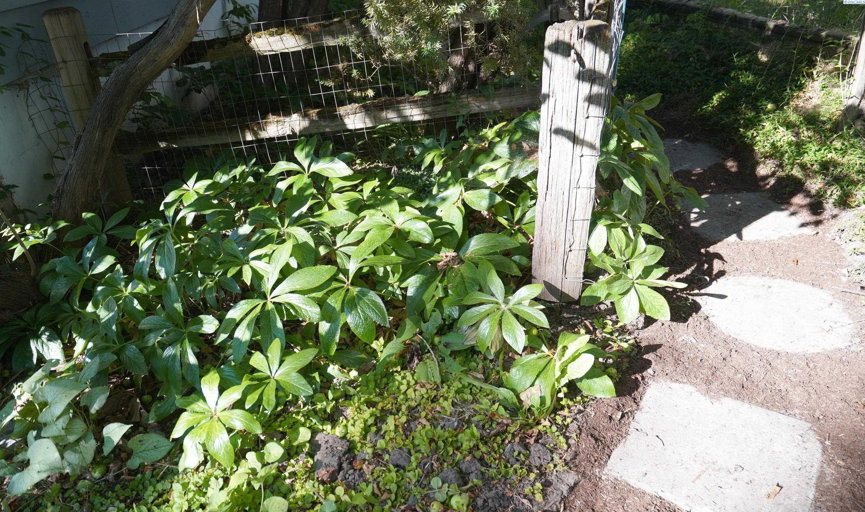 1440 Northwest Hall Drive Pullman, WA 99163 - Photo 39 of 50 Gallery Image 39