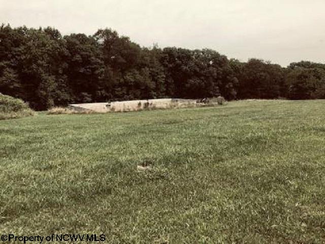 2841 McKinney Cave Road Reedsville, WV 26547 - Photo 5 of 7 Gallery Image 5