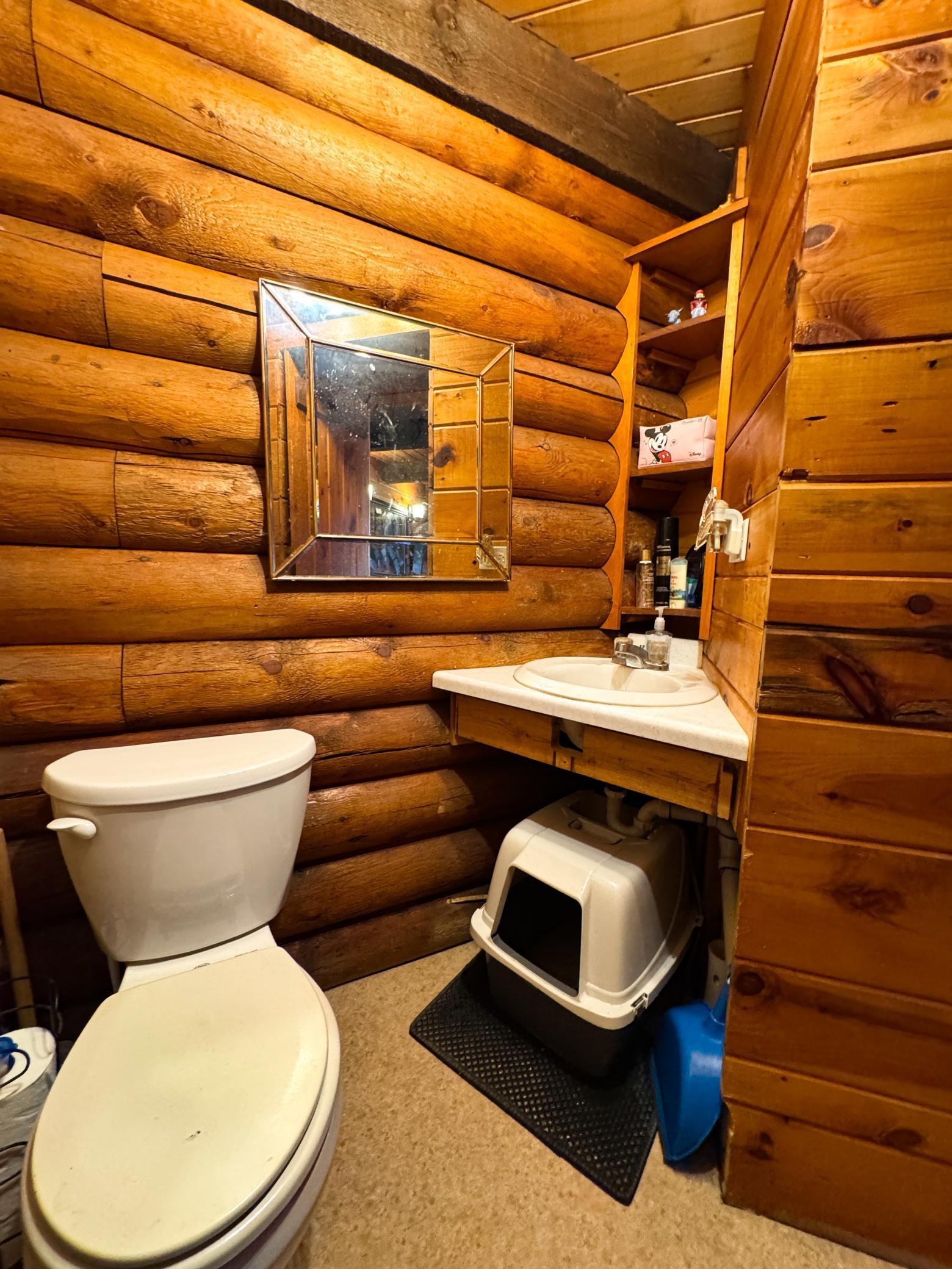 4787 Whitetail Road Northeast Bemidji, MN 56601 - Photo 12 of 31