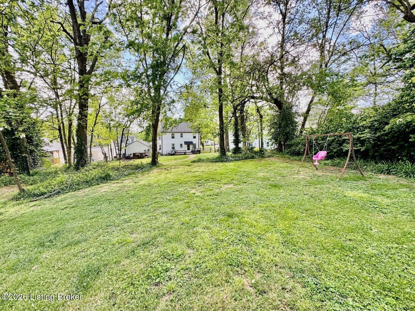 209 East Virginia Avenue Springfield, KY 40069 - Photo 37 of 41 038_Yard