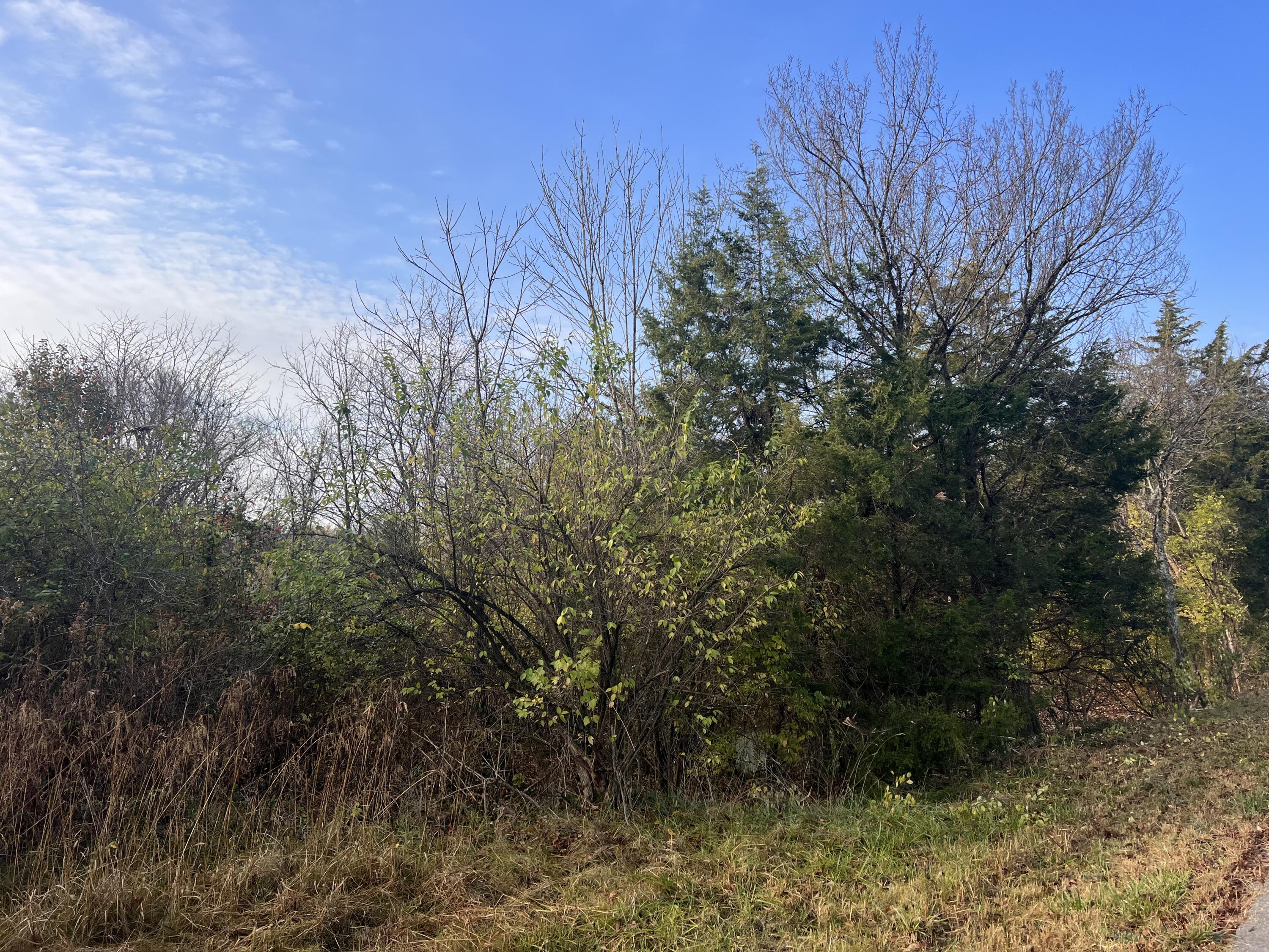 Tract A Kissing Ridge Road Nicholasville, KY 40356 - Photo 5 of 5 photos4