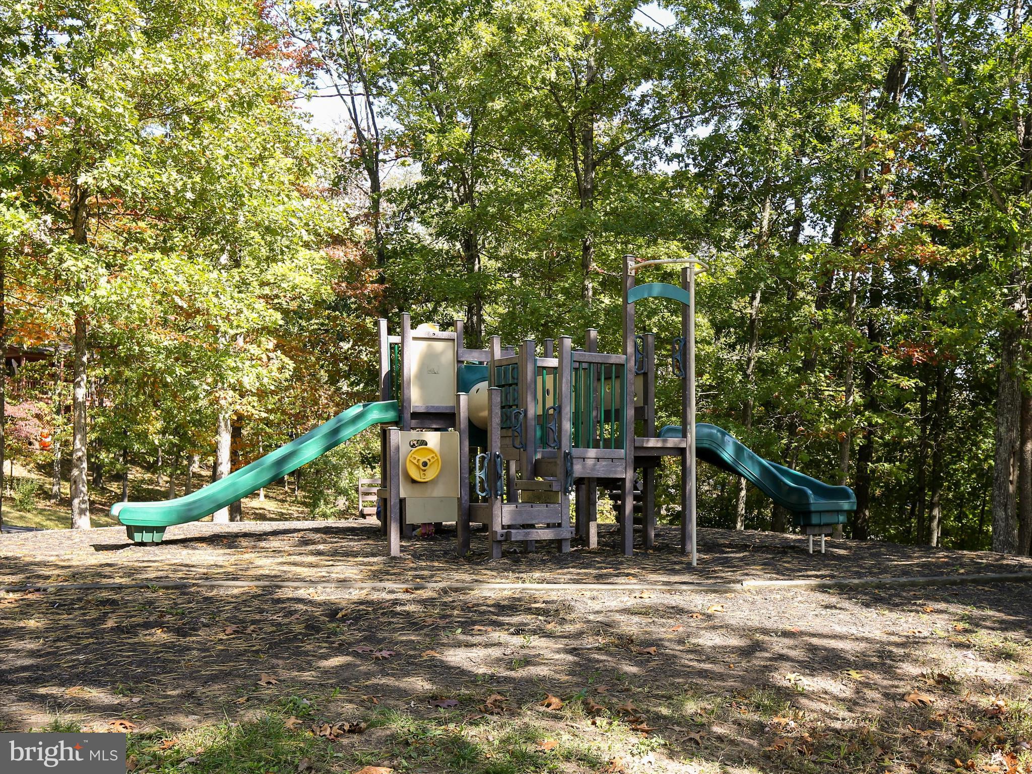 109 Waterside Lane Cross Junction, VA 22625 - Photo 18 of 20 Playground