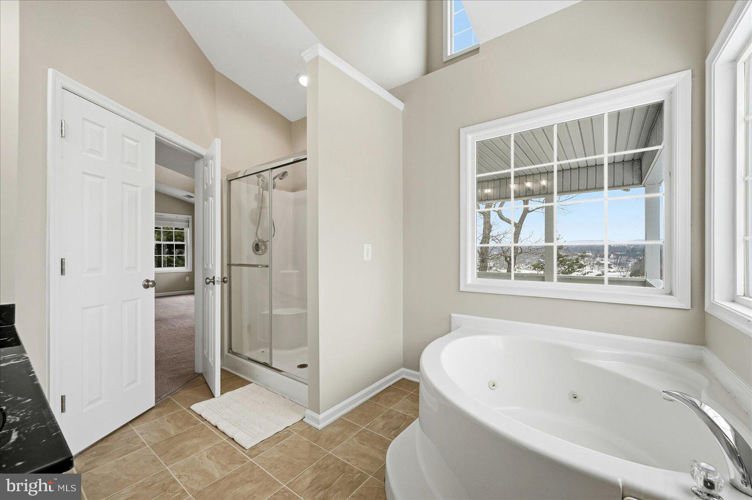 109 Waterside Lane Cross Junction, VA 22625 - Photo 40 of 107 a bathroom with a bathtub and a shower