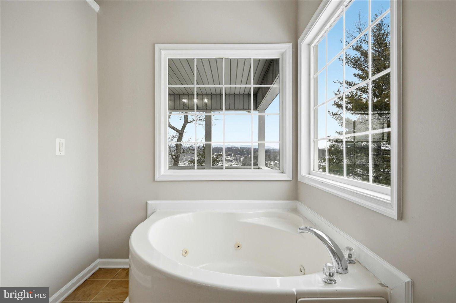 109 Waterside Lane Cross Junction, VA 22625 - Photo 41 of 107 Relaxing primary tub