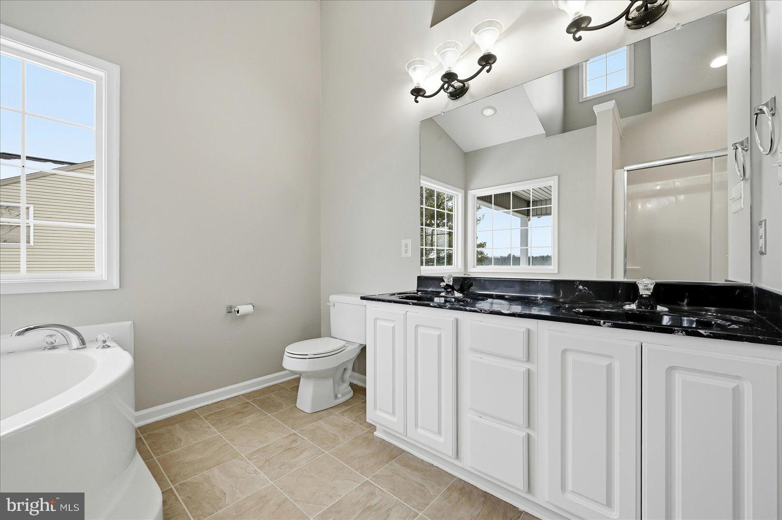 109 Waterside Lane Cross Junction, VA 22625 - Photo 42 of 107 a bathroom with a granite countertop sink a toilet a mirror and shower