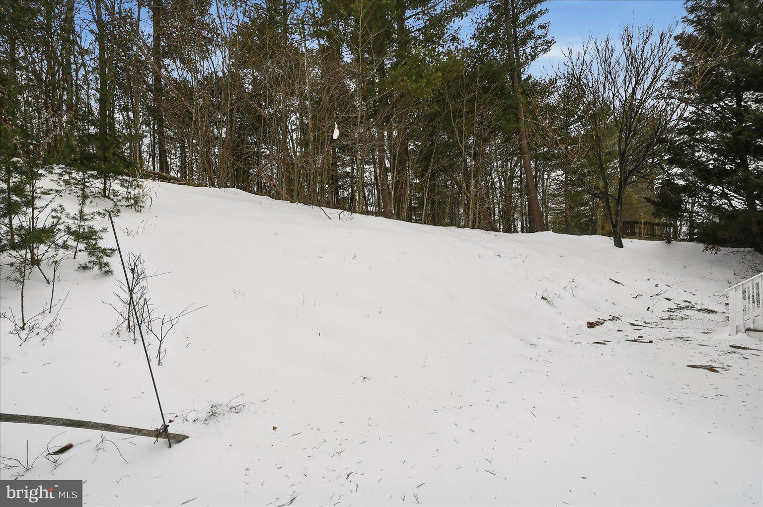 109 Waterside Lane Cross Junction, VA 22625 - Photo 62 of 107 Rear yard