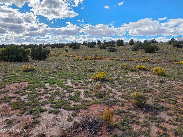 a view of a field with an trees
