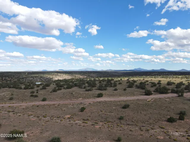 a view of a dry yard with lots of trees