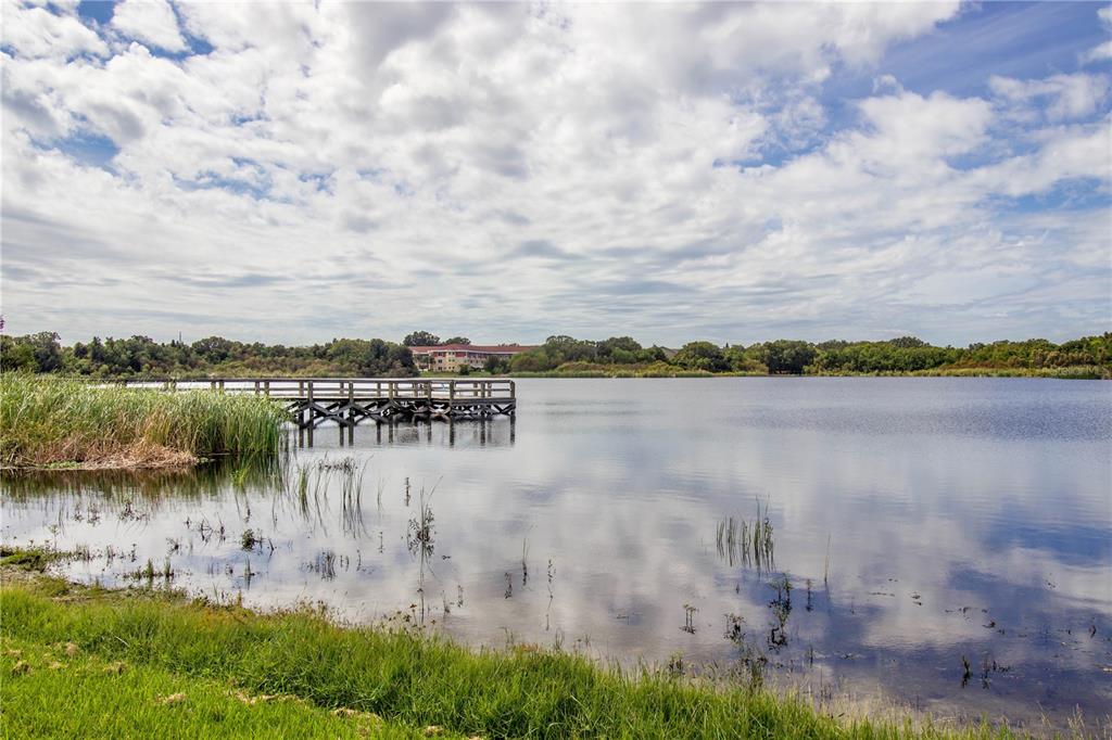 2403 Finlandia Lane, Unit 57 Clearwater, FL 33763 - Photo 40 of 41 a view of a lake with houses in the background