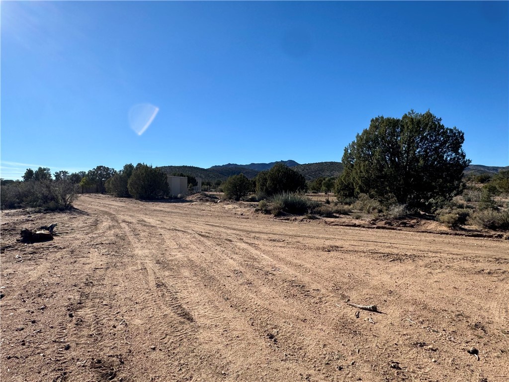 6806 North Frerichs Ranch Road Hackberry, AZ 86411 - Photo 31 of 37 Yard