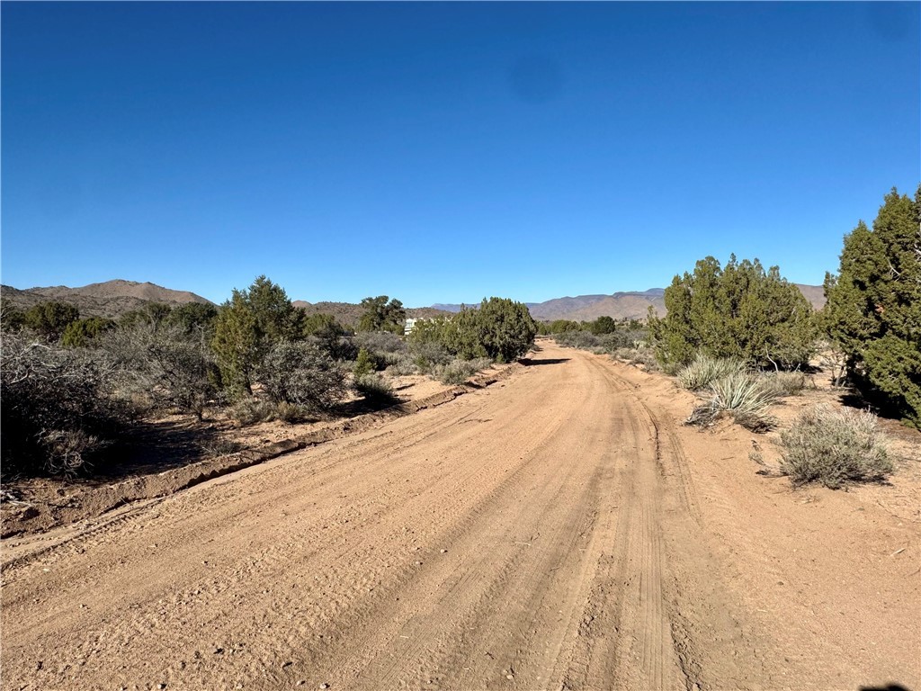 6806 North Frerichs Ranch Road Hackberry, AZ 86411 - Photo 32 of 37 Other