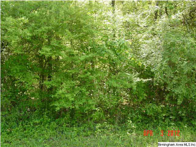 Mcintosh Road, Unit 4 Oxford, AL 36203 - Photo 9 of 24 Gallery Image 9