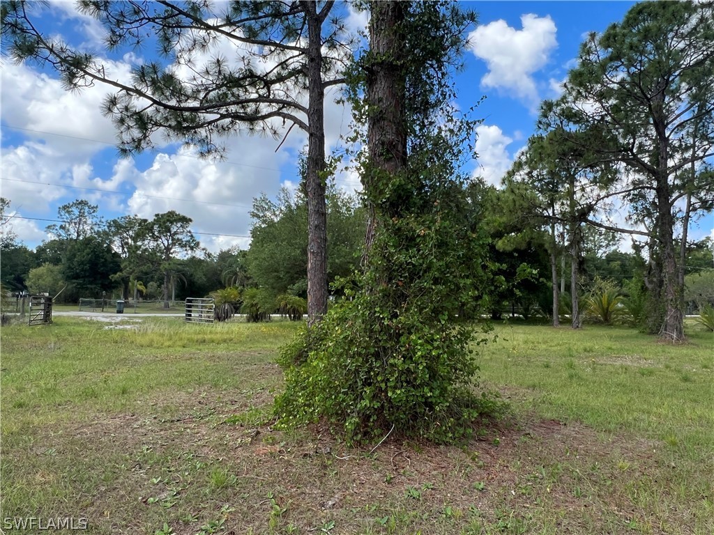 880 Evans Road LaBelle, FL 33935 - Photo 5 of 8 Gallery Image 5