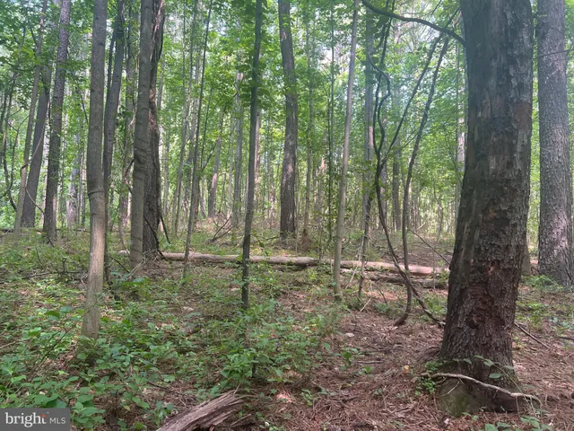 $299,000 | 0 Thornton Gap Church Road, Sperryville, VA 22740