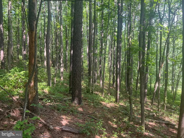 $299,000 | 0 Thornton Gap Church Road, Sperryville, VA 22740