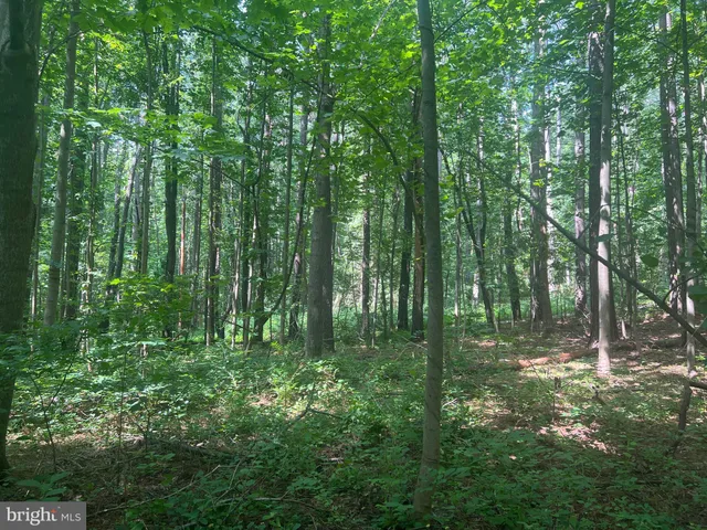$299,000 | 0 Thornton Gap Church Road, Sperryville, VA 22740