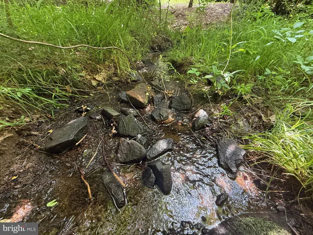 $299,000 | 0 Thornton Gap Church Road, Sperryville, VA 22740