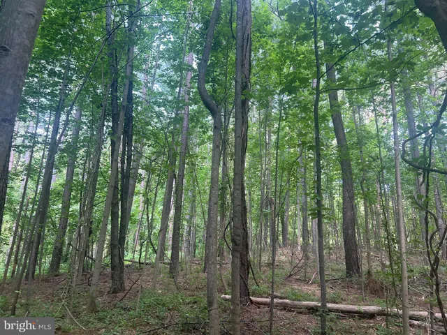 $299,000 | 0 Thornton Gap Church Road, Sperryville, VA 22740