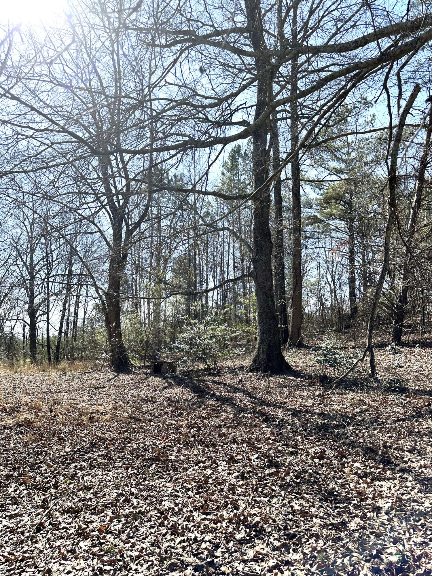 829 Reynolds Bridge Road Benton, TN 37307 - Photo 21 of 23 Gallery Image 21