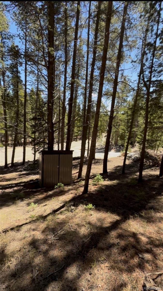 Lot 378 Alice Road Idaho Springs, CO 80452 - Photo 11 of 26 a view of backyard with trees