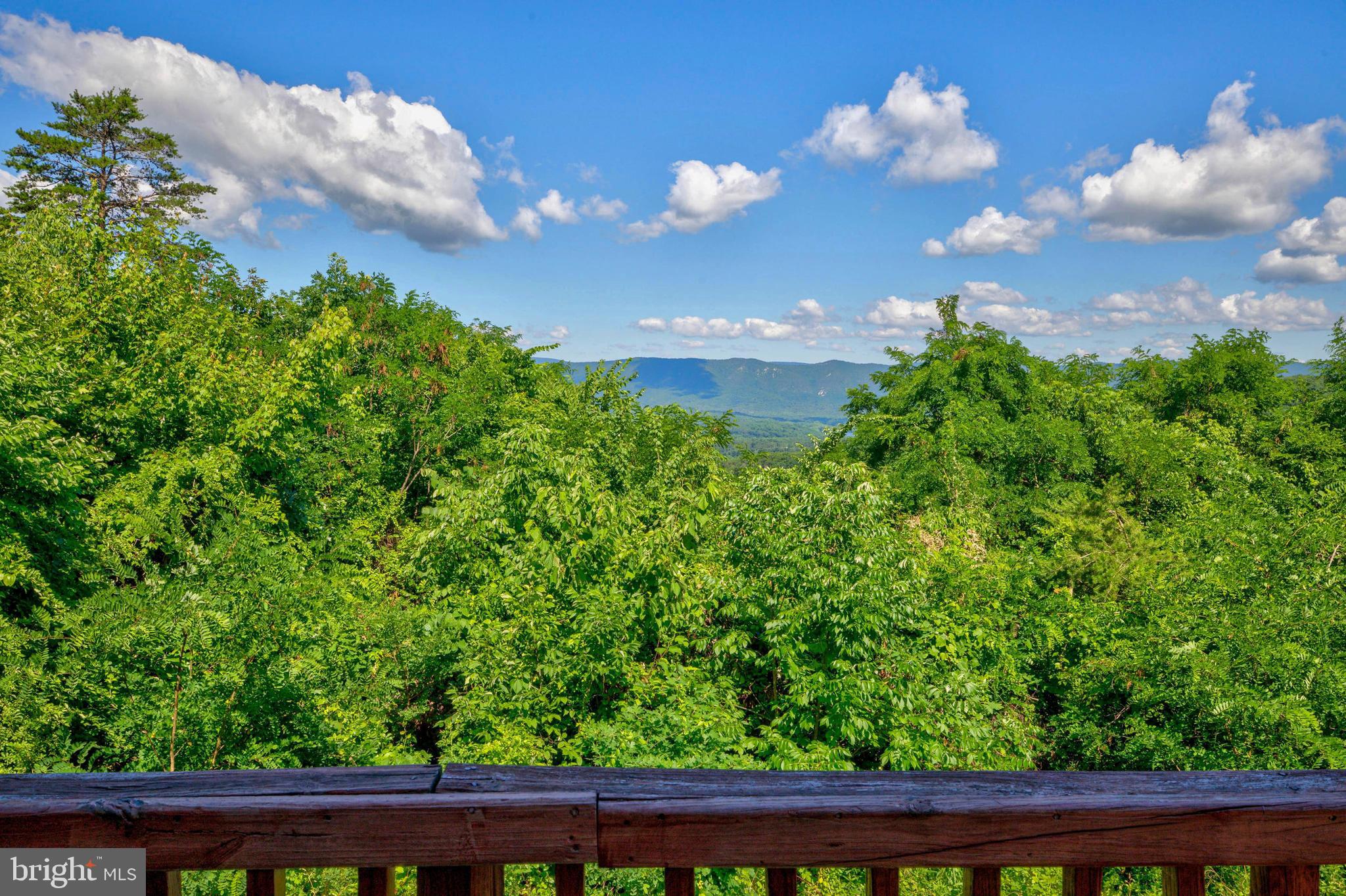 707 Overlook Drive Rileyville, VA 22650 - Photo 60 of 94