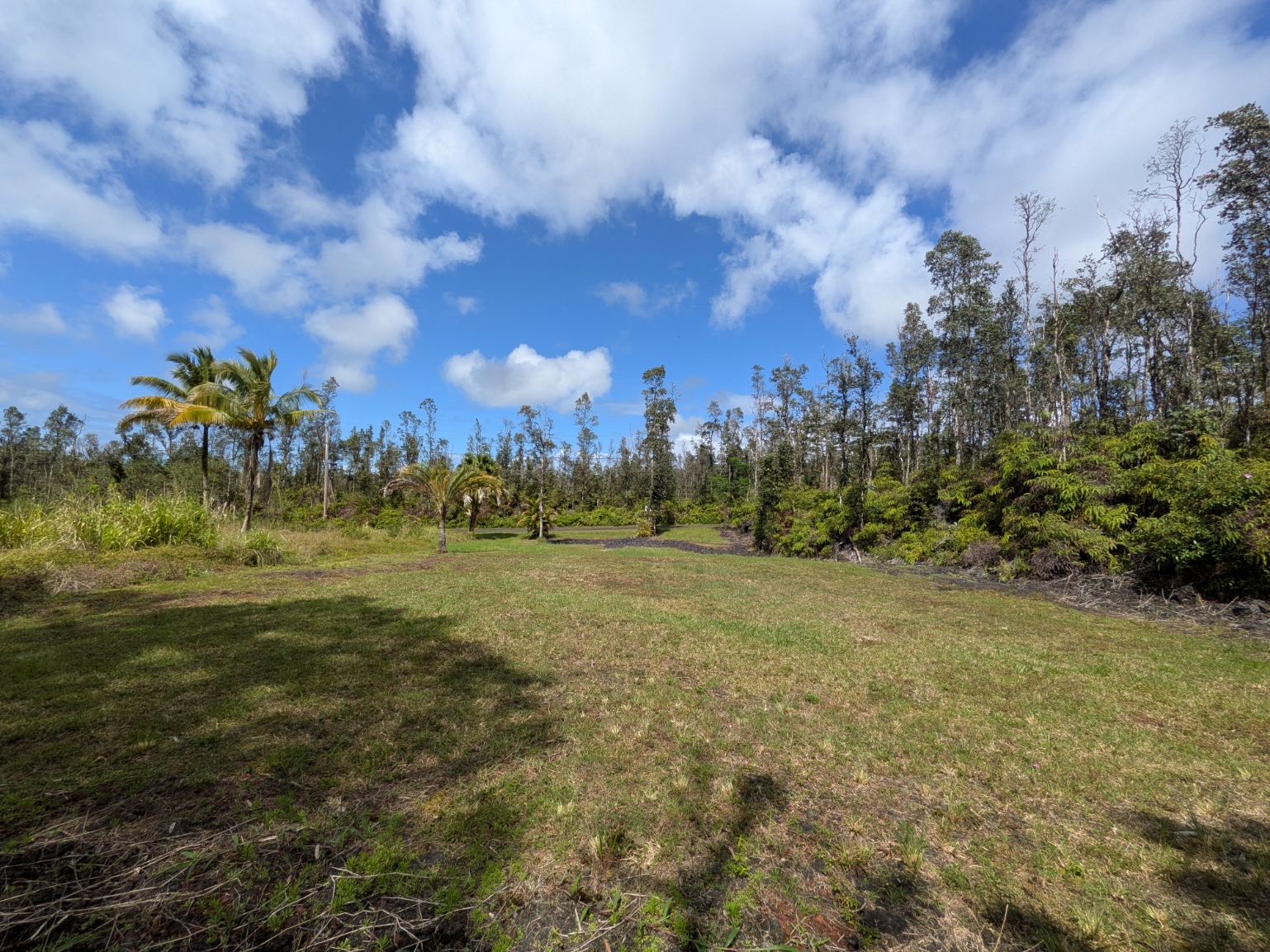 847 Molokai Road Pahoa, HI 96778 - Photo 14 of 24 Gallery Image 14