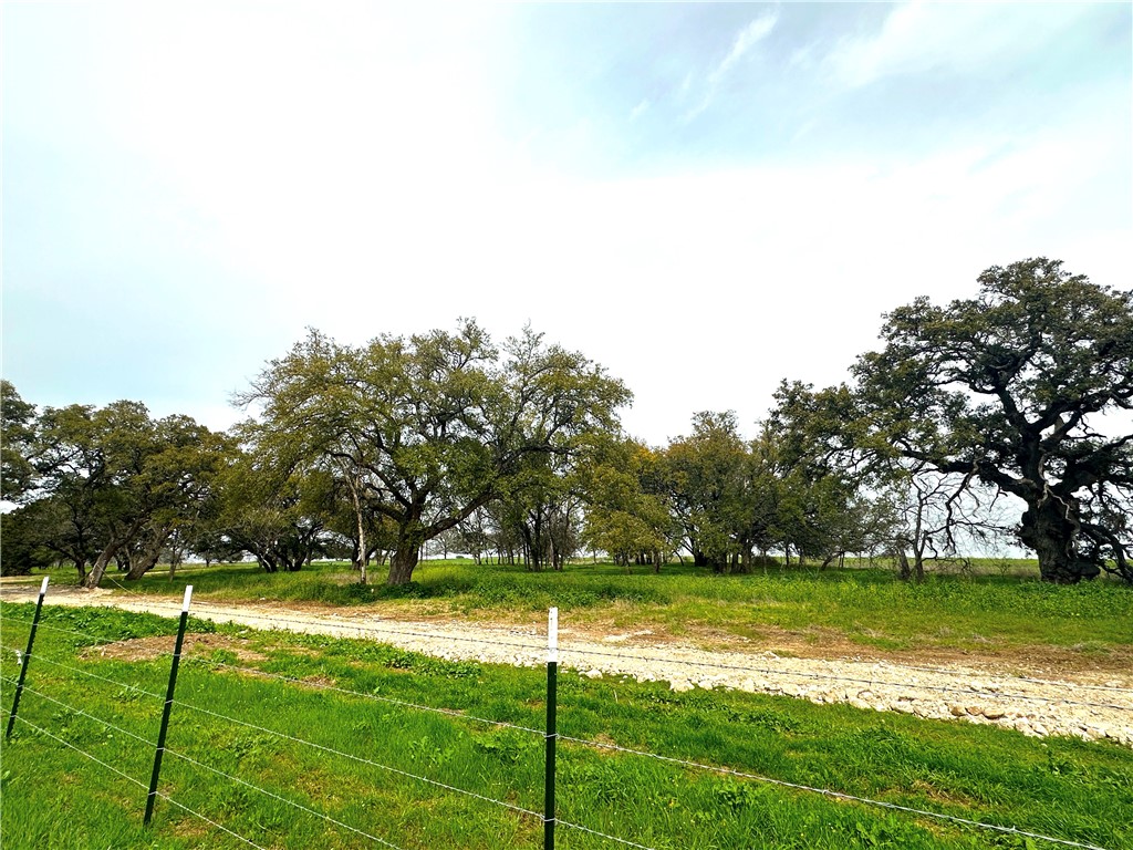 9 Cr 356 Road Gatesville, TX 76528 - Photo 6 of 11