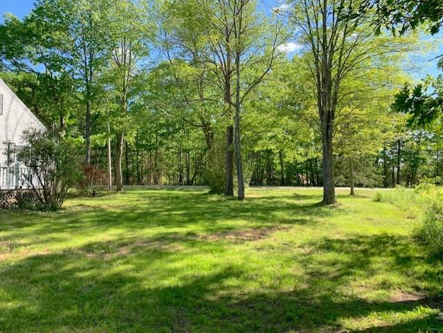 6 Blagdon Ridge Road Wiscasset, ME 04578 - Photo 7 of 19 Side yard