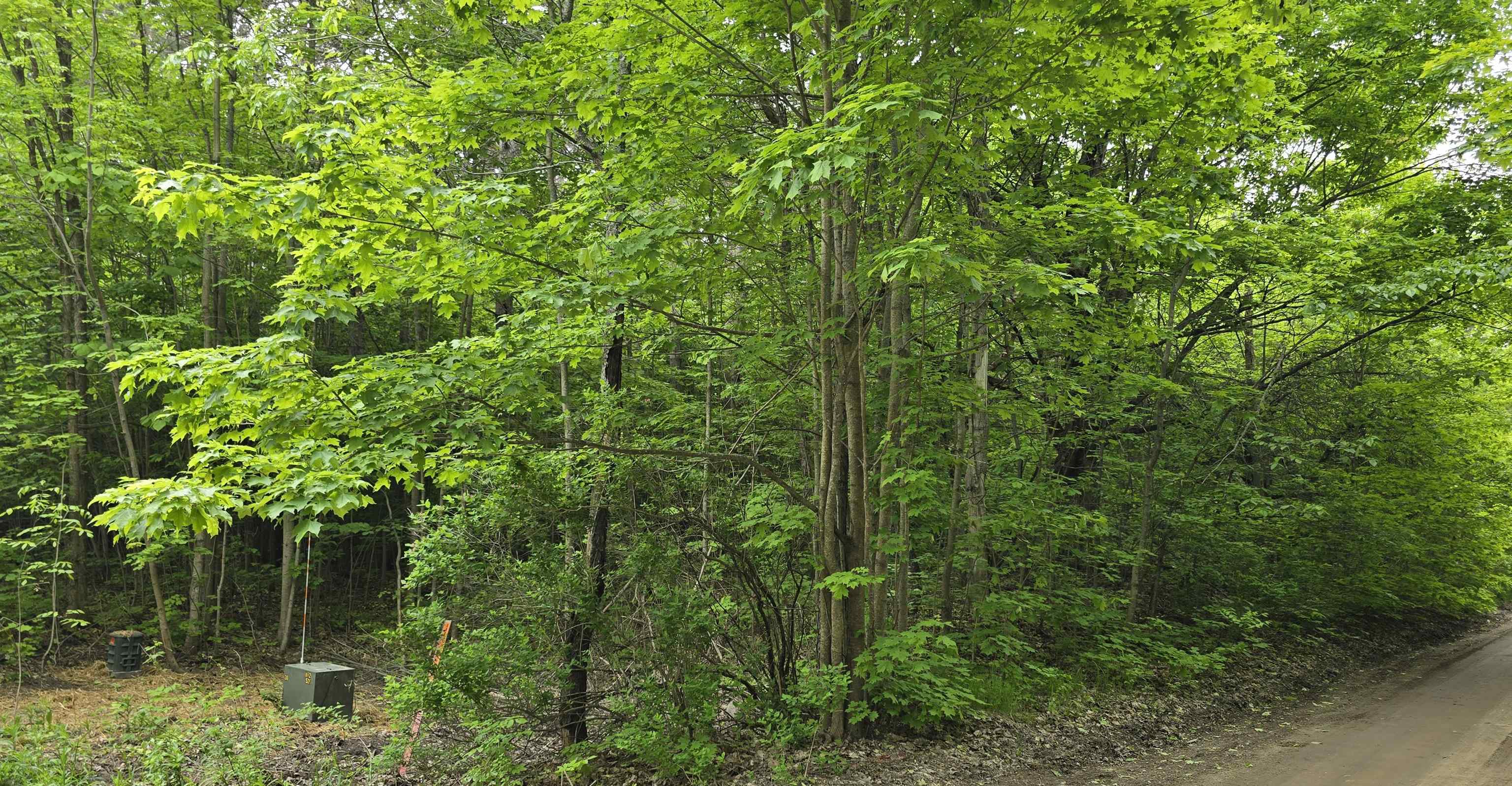 Lot 24 Hagni Road Kalkaska, MI 49646 - Photo 3 of 8 Gallery Image 3