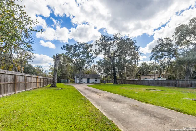 a view of a park with large trees