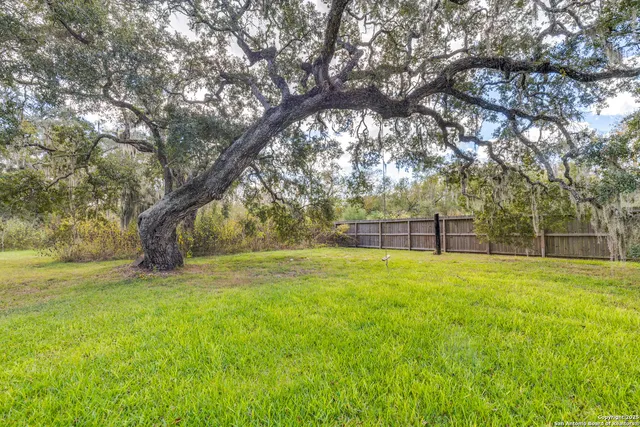 a view of yard with tree and wooden fence