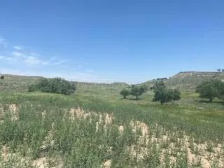 a view of lake with green space