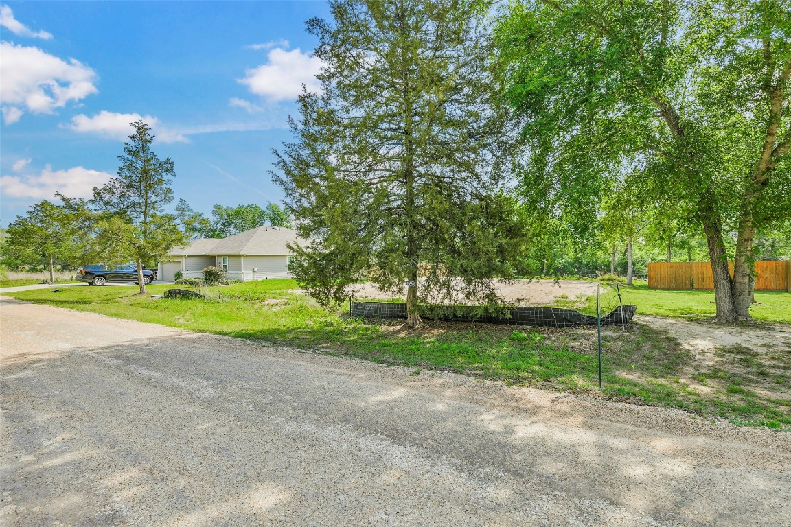 26564 Callie Drive Hempstead, TX 77445 - Photo 9 of 14