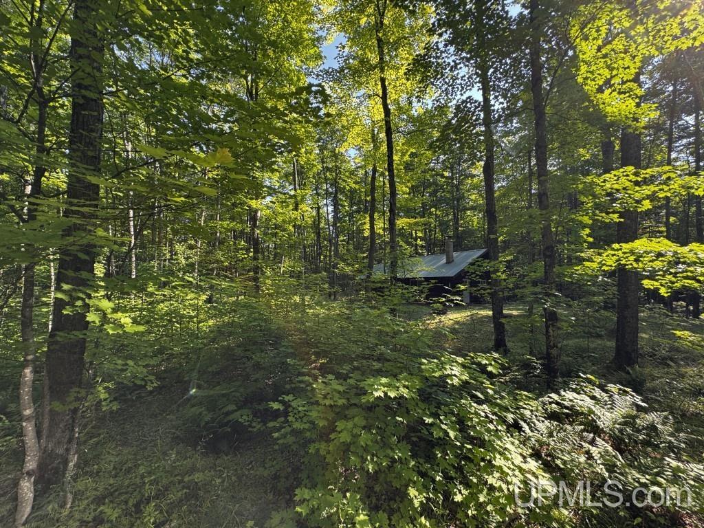 23240 China Road Nisula, MI 49952 - Photo 23 of 45 Gallery Image 23
