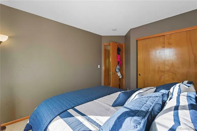 a bedroom with a bed and a closet