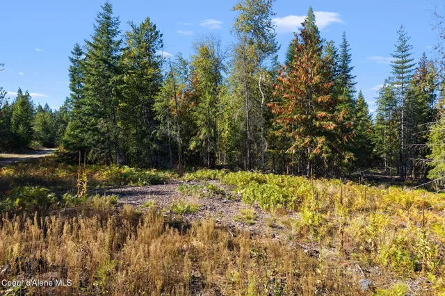 $275,000 | 117 Muskrat Place, Sagle, ID 83860