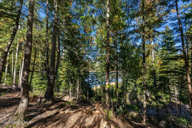 $275,000 | 117 Muskrat Place, Sagle, ID 83860