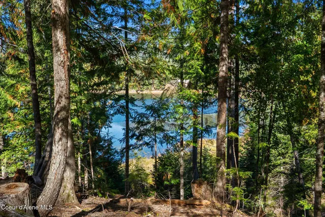 $275,000 | 117 Muskrat Place, Sagle, ID 83860