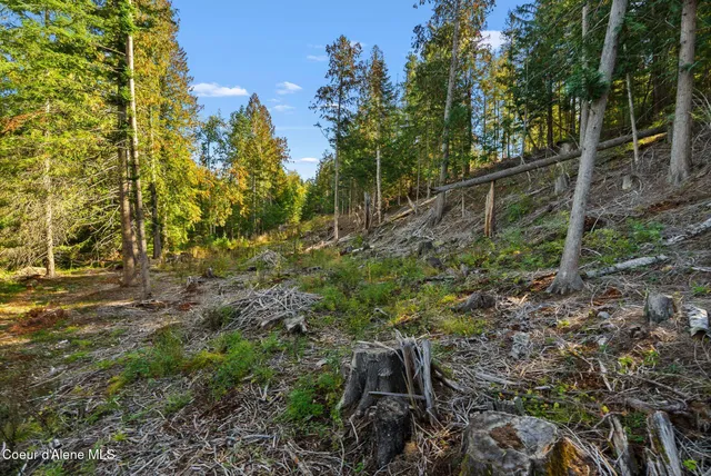 $275,000 | 117 Muskrat Place, Sagle, ID 83860