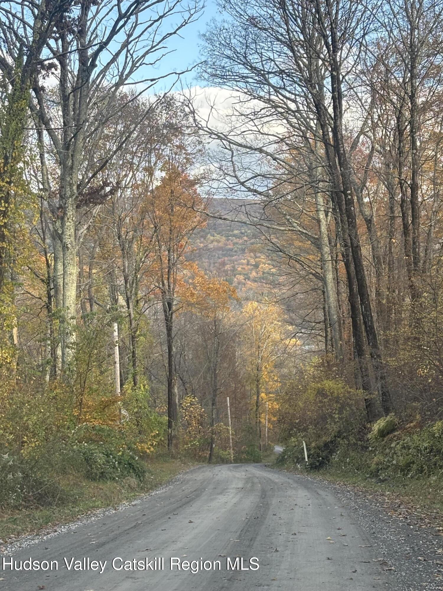 0 Carson Road Millerton, NY 12546 - Photo 6 of 7 a view of a yard