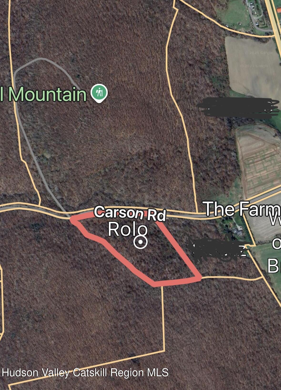 0 Carson Road Millerton, NY 12546 - Photo 7 of 7 unknown