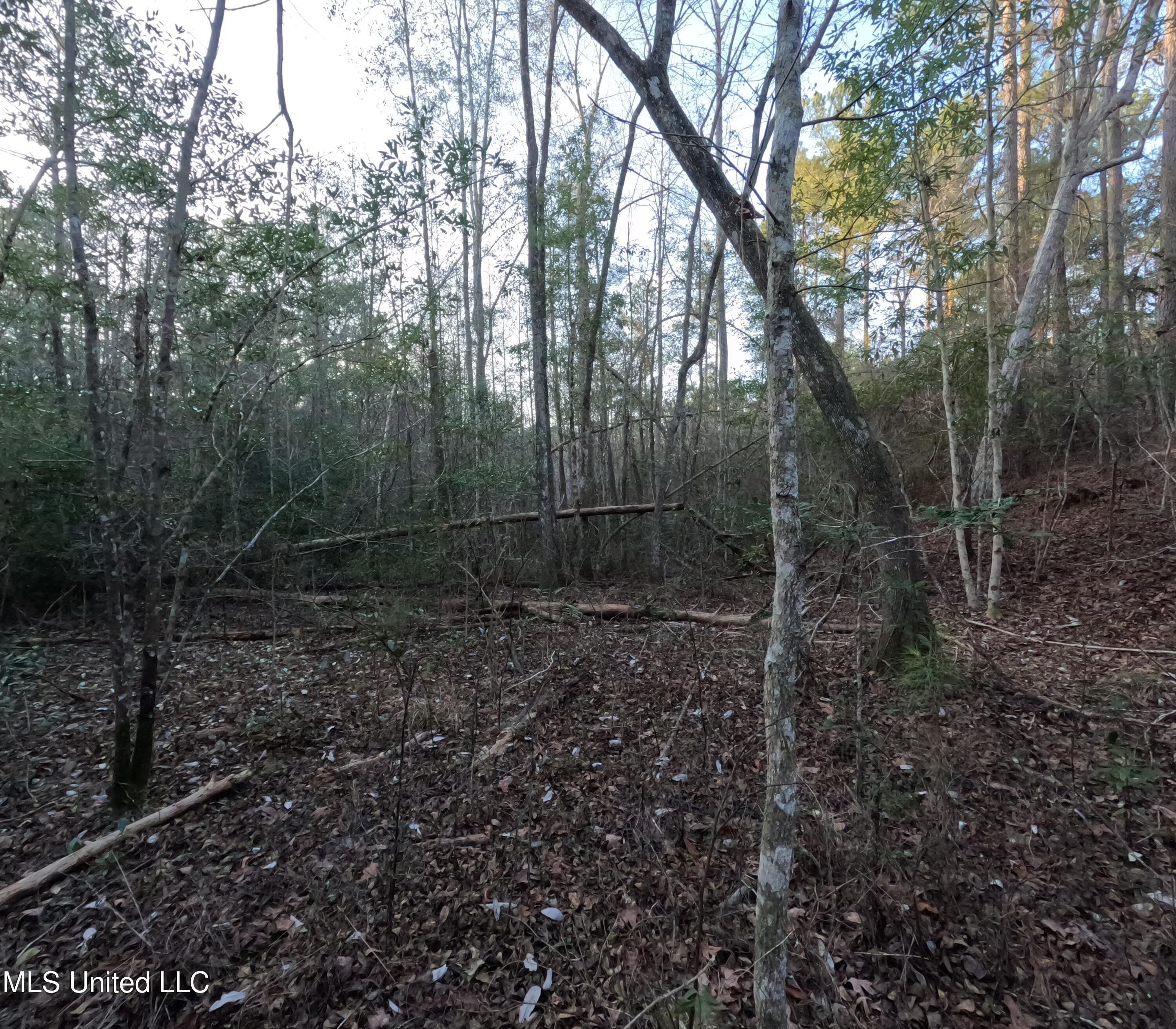 South County Line Road Columbia, MS 39429 - Photo 27 of 44 GOPR0751