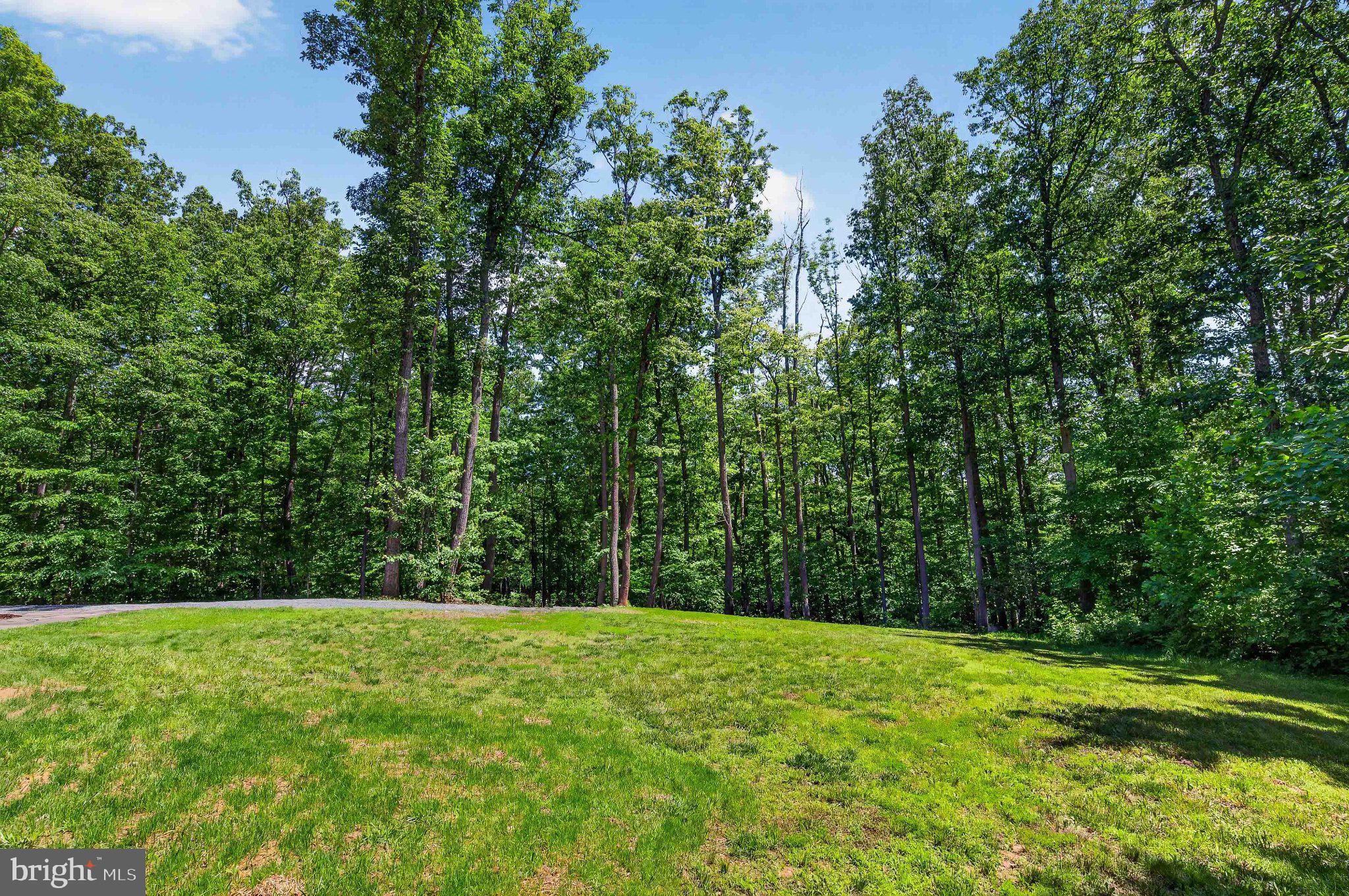 13311 Wilt Store Road Leesburg, VA 20176 - Photo 51 of 64 Serene wooded retreat awaits you.