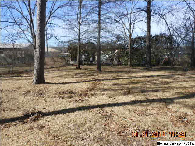 1341 Brown Circle Alabaster, AL 35007 - Photo 7 of 7