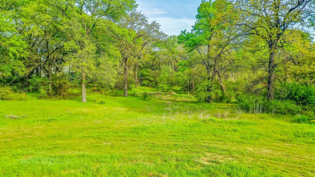 5 Elkhorn Drive Arlington, TX 76016 - Photo 12 of 12 a backyard of a house with plants and large trees