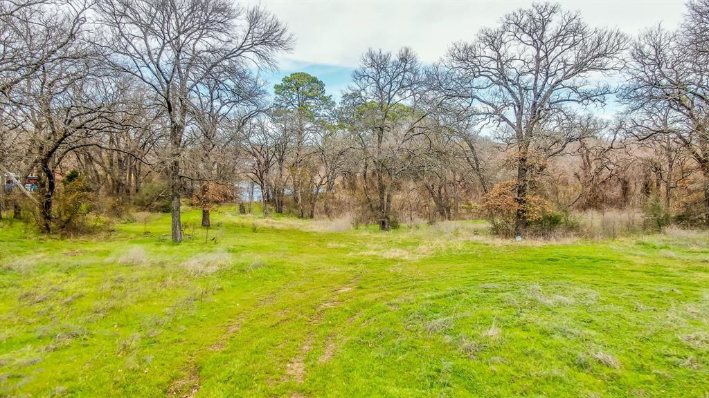 5 Elkhorn Drive Arlington, TX 76016 - Photo 10 of 12 a view of yard with trees