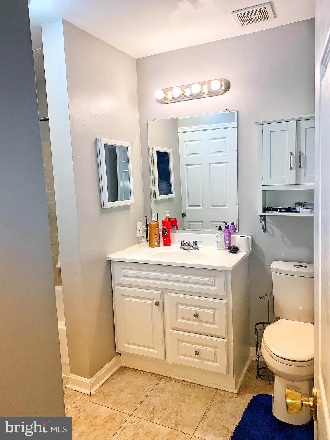 21029 Timber Ridge Terrace, Unit 102 Ashburn, VA 20147 - Photo 17 of 39 Full bathroom view from the master bedroom