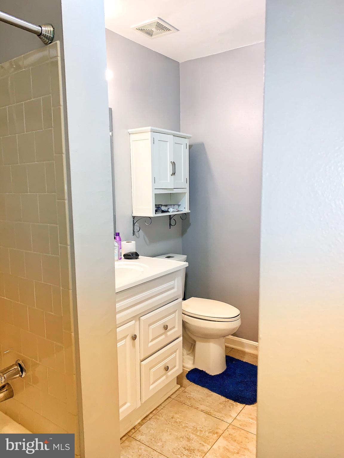 21029 Timber Ridge Terrace, Unit 102 Ashburn, VA 20147 - Photo 18 of 39 Full bathroom view from the hallway entrance