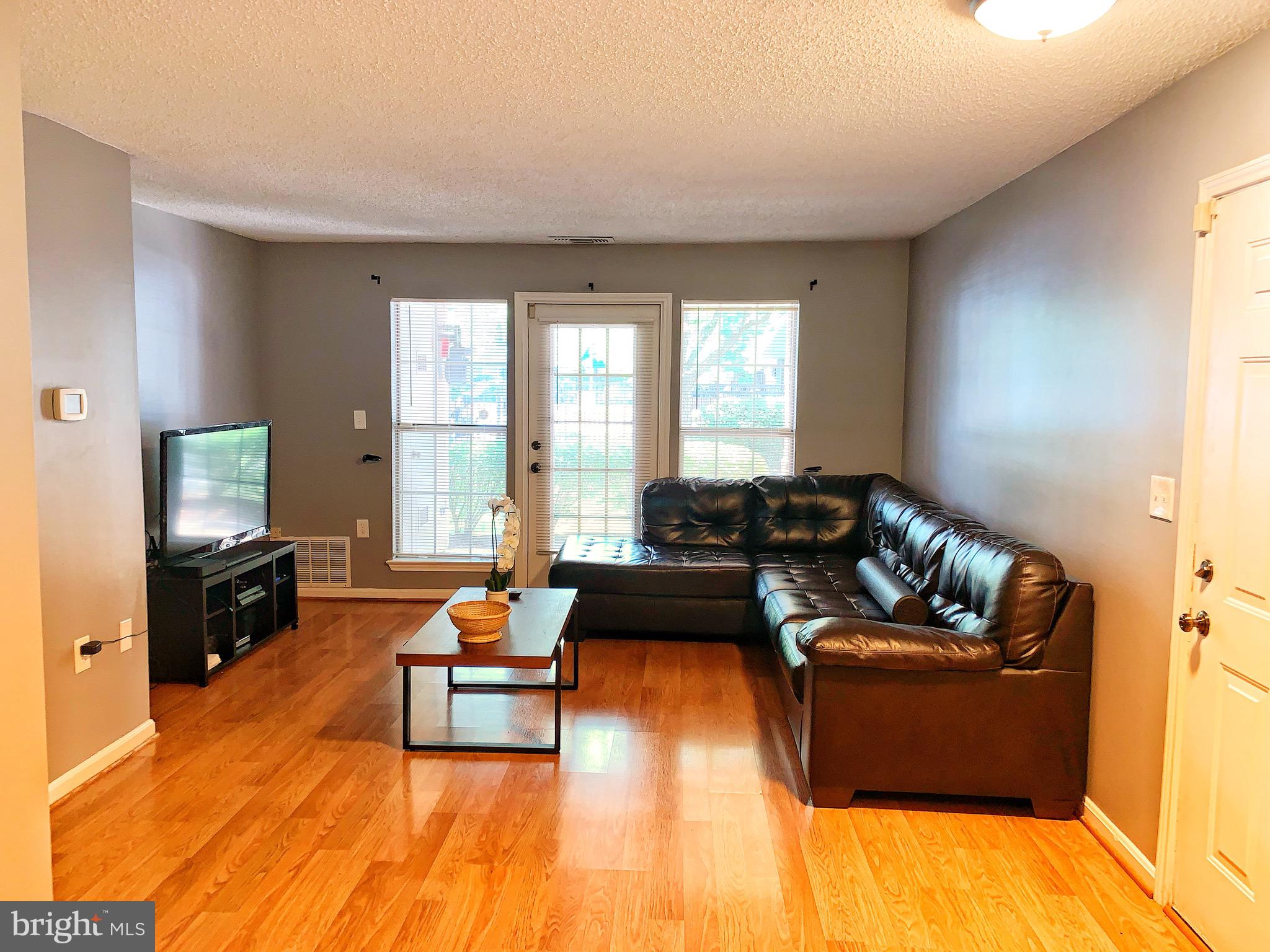 21029 Timber Ridge Terrace, Unit 102 Ashburn, VA 20147 - Photo 4 of 39 Enter to the living room.