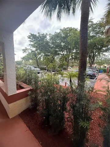 a view of a yard with potted plants and large tree